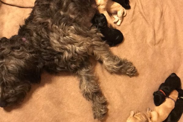 A14102F6-7B3D-4C60-95F3-9A7F06A43042