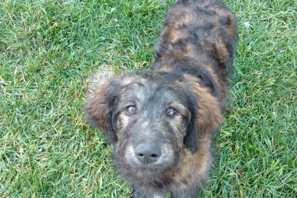 FB_IMG_1464573632150