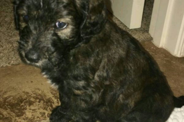 VZM.IMG_20160501_184119